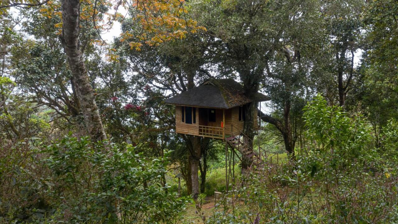 Nature Zone Jungle Resort Munnar Exteriör bild