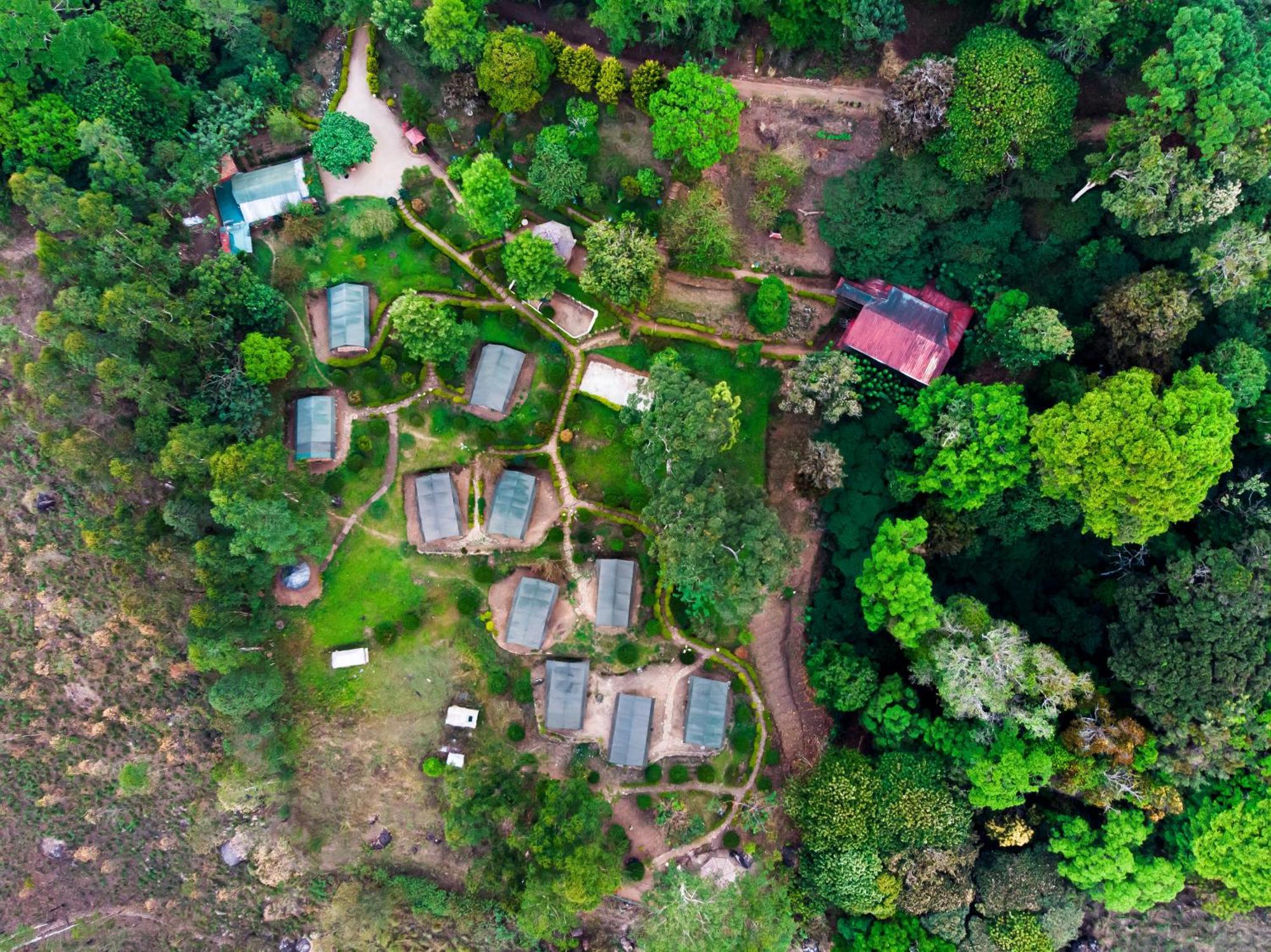 Nature Zone Jungle Resort Munnar Exteriör bild